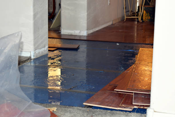 Professional Water Damage Restoration technician working in Bonham, TX